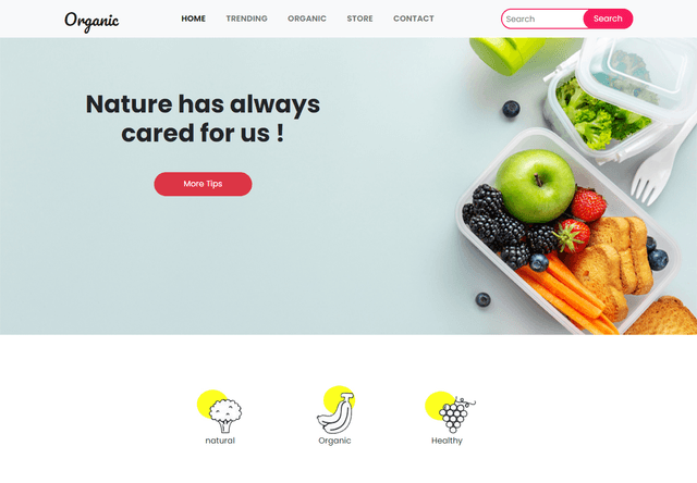 E-Commence Responsive Site